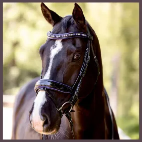 Purple Rain Snaffle Bridle